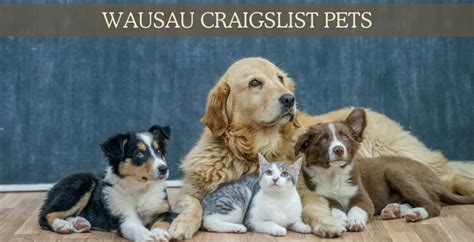 refresh the page. . Wausau craigslist pets